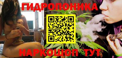 apvp Краснознаменск