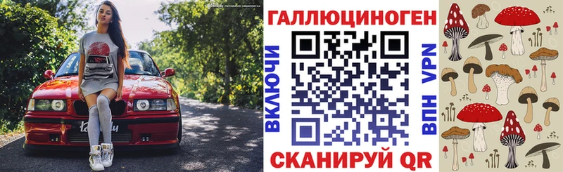 где можно купить наркотик  Гуково  Галлюциногенные грибы Magic Shrooms 